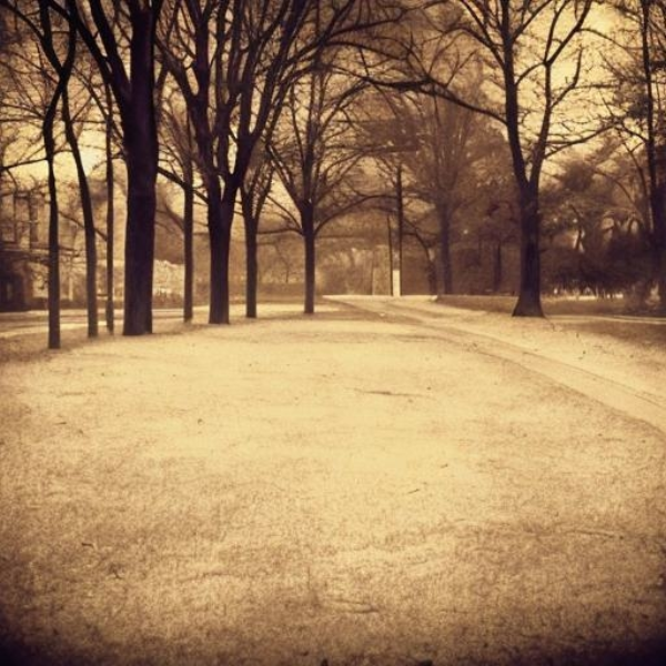 waiting, dreaming