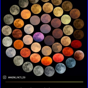 AstroPhy Production Vocals