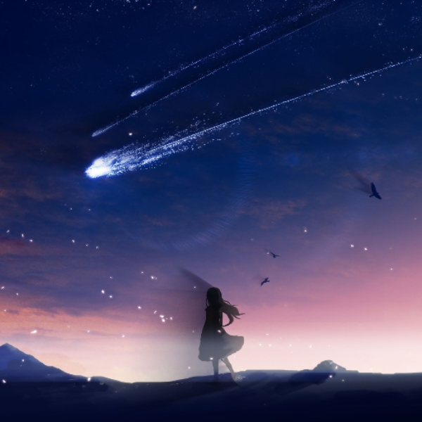 Fracture