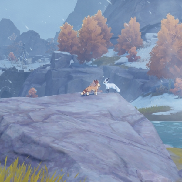 Ambient