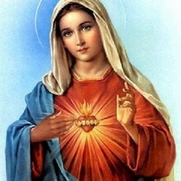 _EXODIA_?;'___ SACRED HEART: