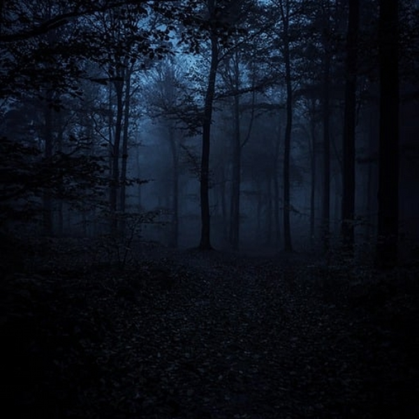 WOODS