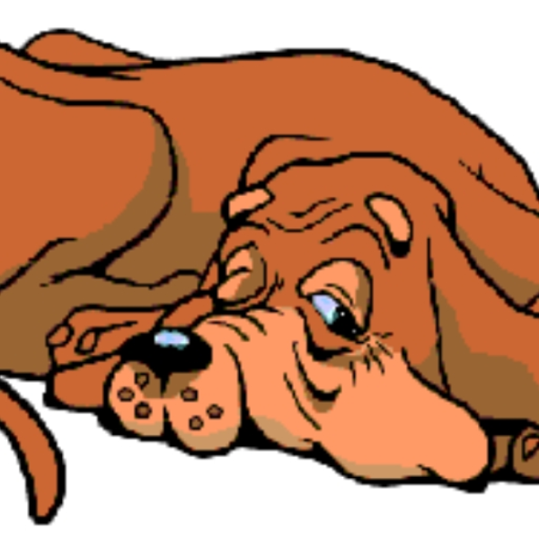 amogus