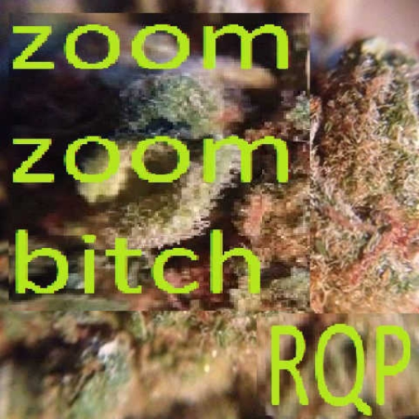zoom zoom bitch
