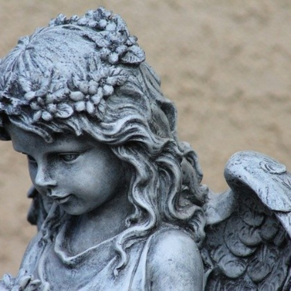 Cupid