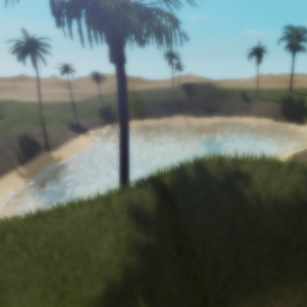 Desert Oasis