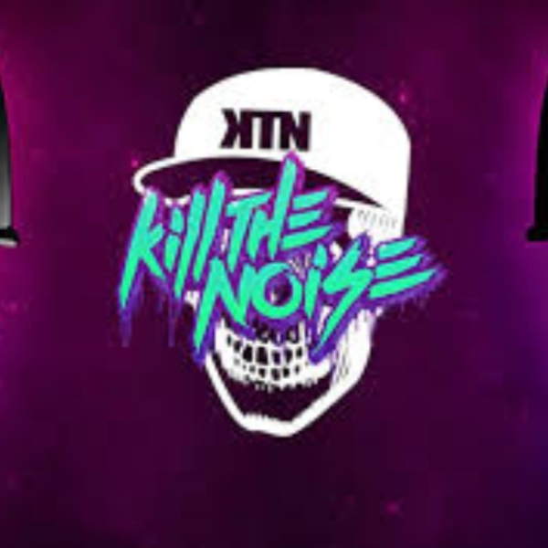 Kill The Noise (Obviously Not Finished)