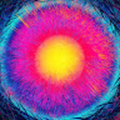 10000918_mcpsmd_net