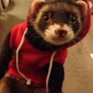 Weaselmixer