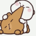 101003519_sanjaconline_net