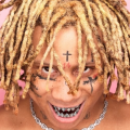 TRIPPIE