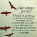 11willamgabriel_gmail_com