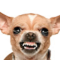 122808jr_gmail_com