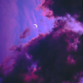 torei