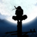 202344_pennmanor_net