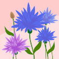 2028vpenrod_westran_k12_mo_us