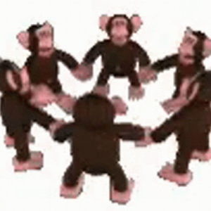 monkeyspinner