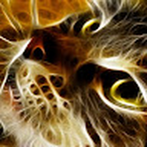 241435_class_lps_org