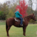 24ellynorton_mirabilec1_org