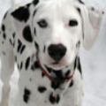 26wymay_psdkids_net