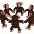 282332_class_lps_org