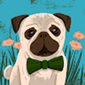 290740_nlvikings_com