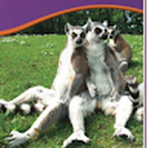 291699_nlvikings_com