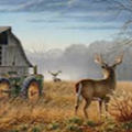 deer lover