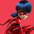 29allmneal_wsisd_com