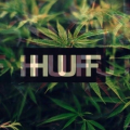 2hiibeatz