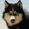 303083_lowelleducation_com