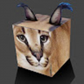 30corawolf