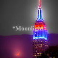 *Moonlight*