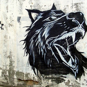 Lostdog