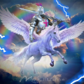KNIGHT OF THE PEGASUS