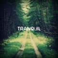 Tranquil
