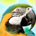 4804337386_students_ocps_net