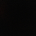 520_lexi12