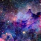 5423523656_student_cms_k12_nc_us