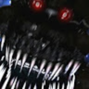 586