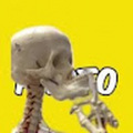 620300017