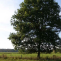 639840_aacps_org