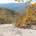 648832_aacps_org