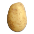 7w1s7