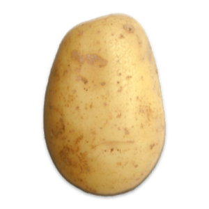 7w1s7