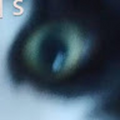 90226
