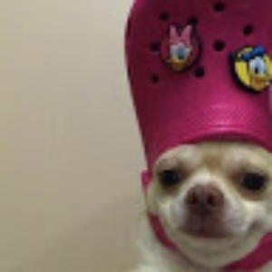 915