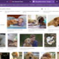 956025948_mvusd_org