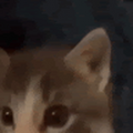 977673