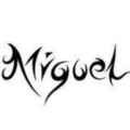 9miguel_alonso_stu_clint_net